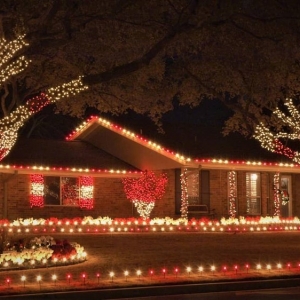 Photo of Special T Landscaping