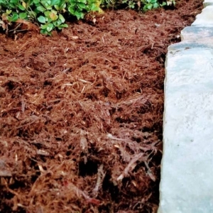 Photo of Special T Landscaping