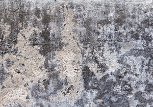 Photo of Guardian Basement Waterproofing