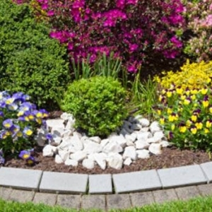 Philadelphia Dyehardscapes
