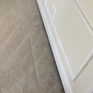 Photo of DNA Pro Cleaning & Restoration