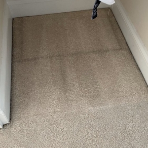 Photo of DNA Pro Cleaning & Restoration