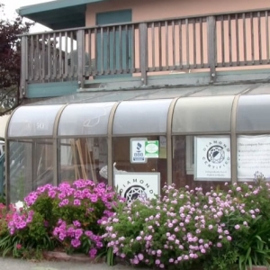 Photo of Barry's Carpet Service