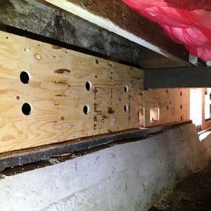 Photo of Altamira Construction