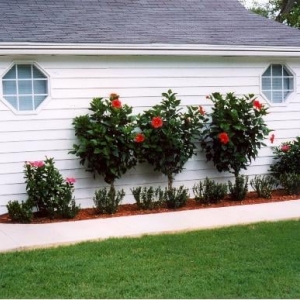 Photo of Arrington's Custom Concrete