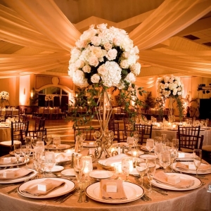 Photo of Treetop Ballroom