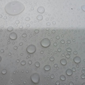 Photo of Lake Shore Detailing