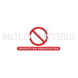 Photo of Mold Busters Inspection Remediation