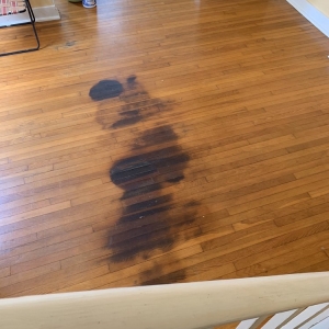Photo of Nola Floors