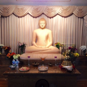 Photo of D.P Interiors