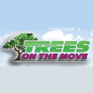 Photo of Trees On The Move