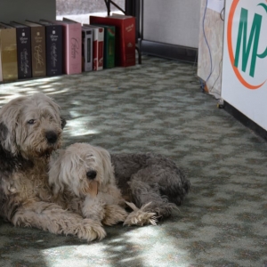 Photo of Minuteman Press