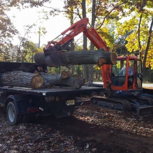 Photo of Del Casale Excavating