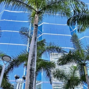 Miami Funded Business Capital