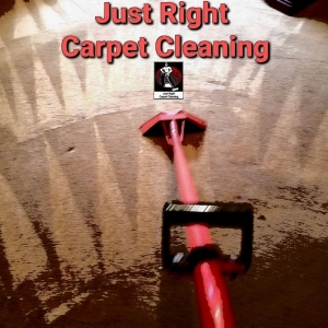 Photo of Just Right Carpet Cleaning of West Ashley