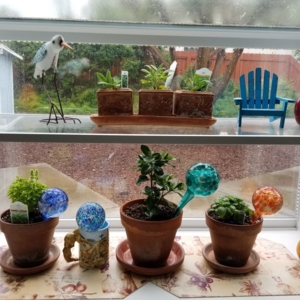 Photo of Best Window Work