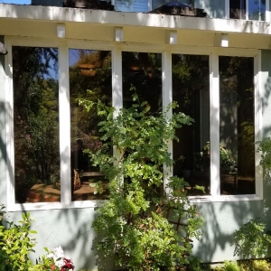 Photo of Seasonal Window Cleaning