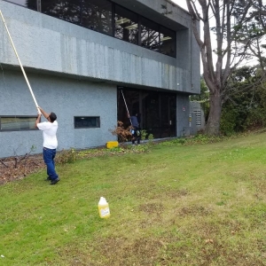 Photo of Seasonal Window Cleaning