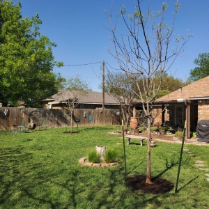 Photo of Big John's Nursery and Landscaping