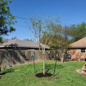 Photo of Big John's Nursery and Landscaping