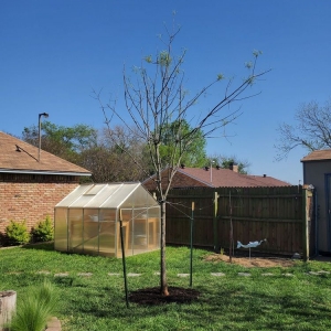 Photo of Big John's Nursery and Landscaping