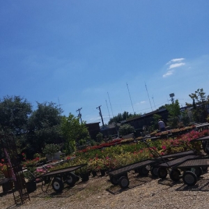 Photo of Big John's Nursery and Landscaping