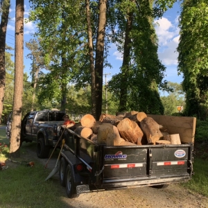 Photo of Top To Bottom Tree Service and Landscaping