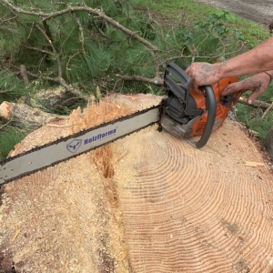 Photo of Top To Bottom Tree Service and Landscaping