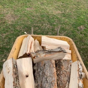 Photo of Top To Bottom Tree Service and Landscaping