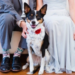 Photo of The Bendora Wedding Gallery