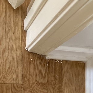 Photo of Kenny's Custom Flooring