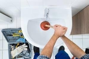 Photo of Your Drain King