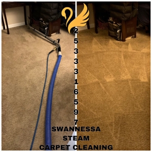 Photo of Swannessa Steam Carpet Cleaning