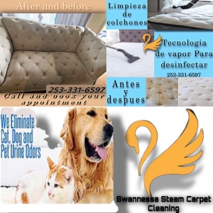 Photo of Swannessa Steam Carpet Cleaning