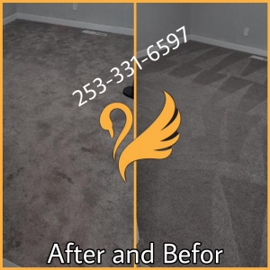 Photo of Swannessa Steam Carpet Cleaning