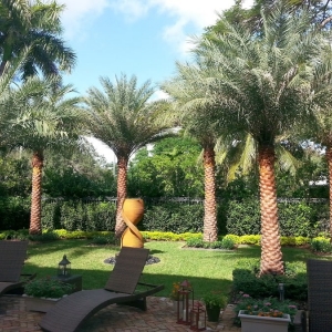 Photo of Cortada Landscape Design