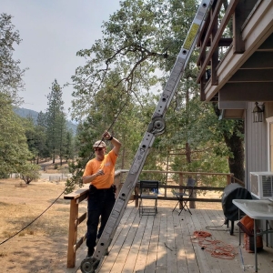 Photo of Bigfoot Chimney And Handyman