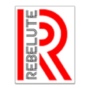 Pleasanton Rebelute Digital Solutions