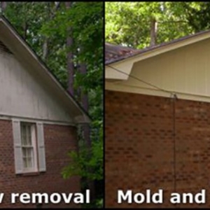 Spring Woodlands Pressure Washing
