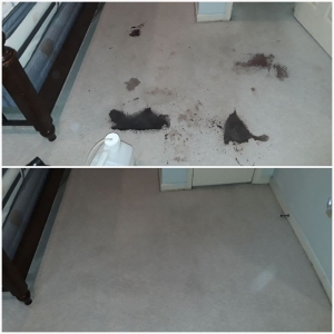 Photo of Neighborhood Carpet Cleaners