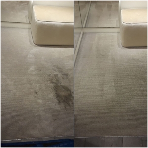 Photo of Neighborhood Carpet Cleaners