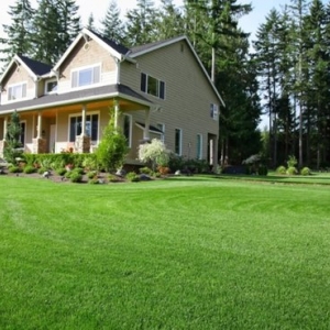 Photo of Jager Landscaping
