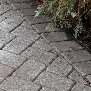 Photo of Jager Landscaping