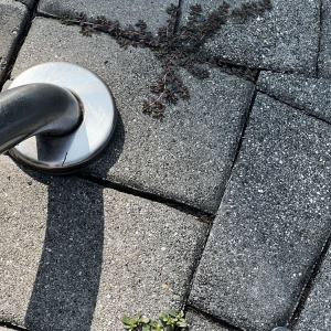 Photo of Jager Landscaping