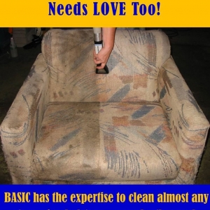 Photo of Basic Carpet Care