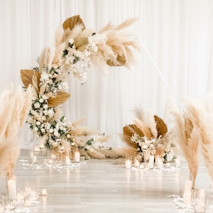 Photo of DreamARK Events