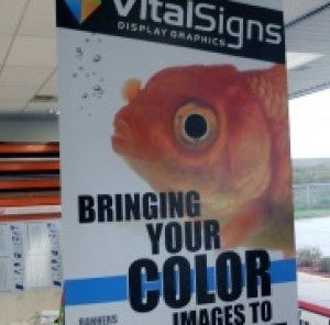 Photo of Vital Signs Display Graphics