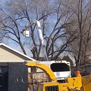 Photo of Supreme Tree Experts Utah
