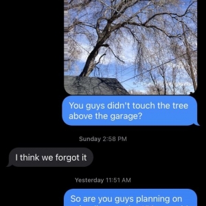 Photo of Supreme Tree Experts Utah