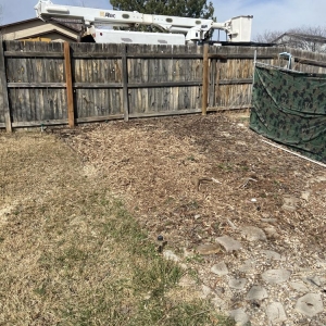 Photo of Supreme Tree Experts Utah